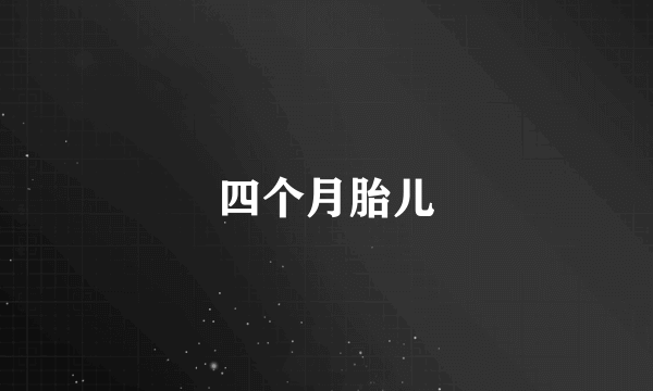 四个月胎儿
