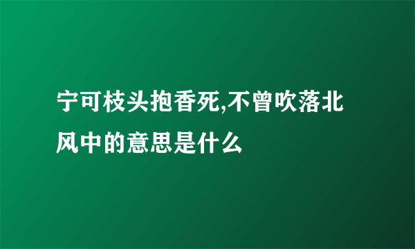 宁可枝头抱香死,不曾吹落北风中的意思是什么